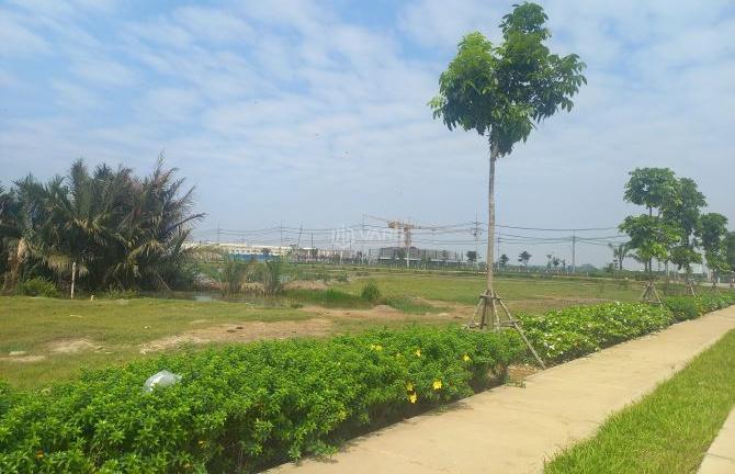 Hình ảnh 3