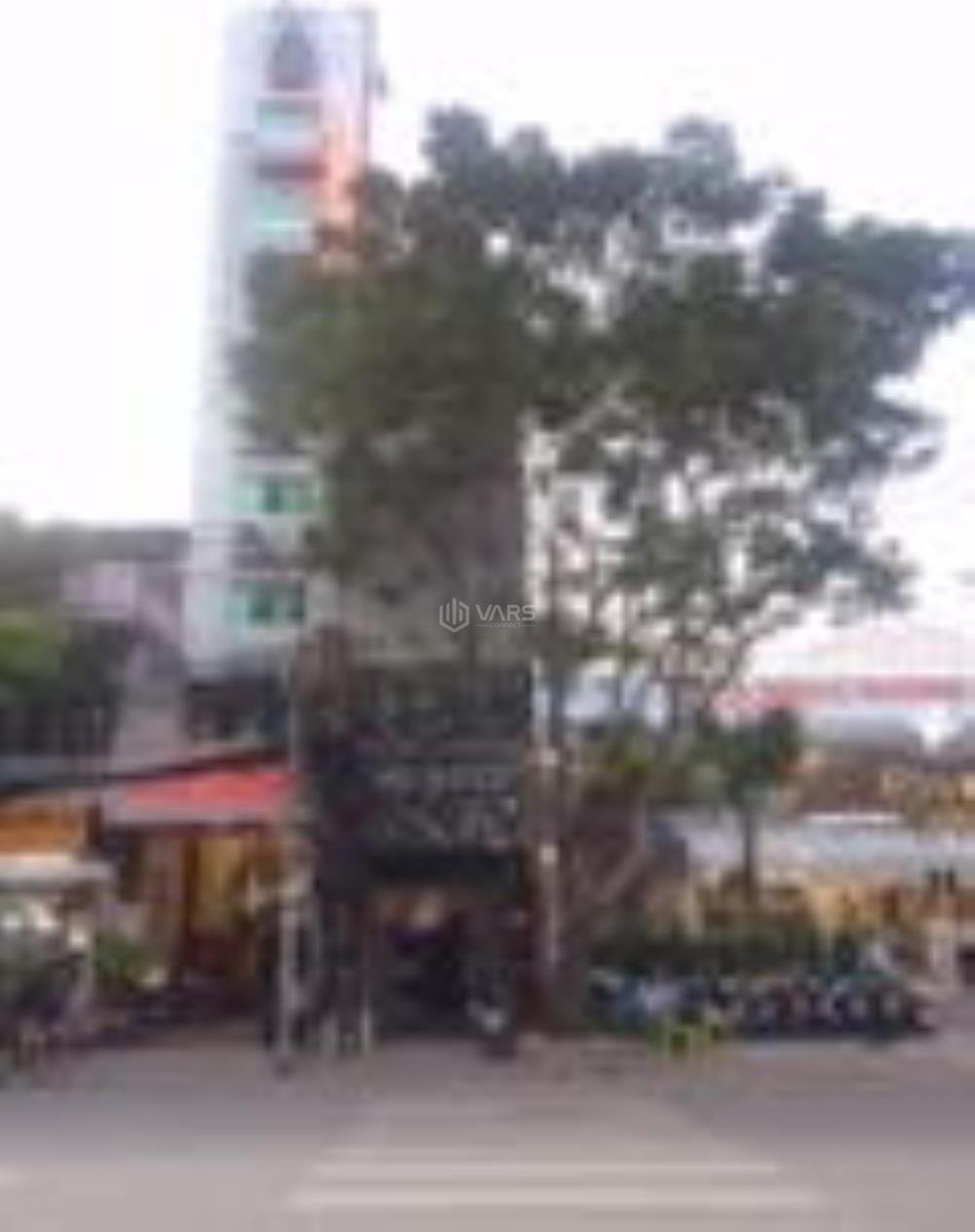 Hình ảnh 1