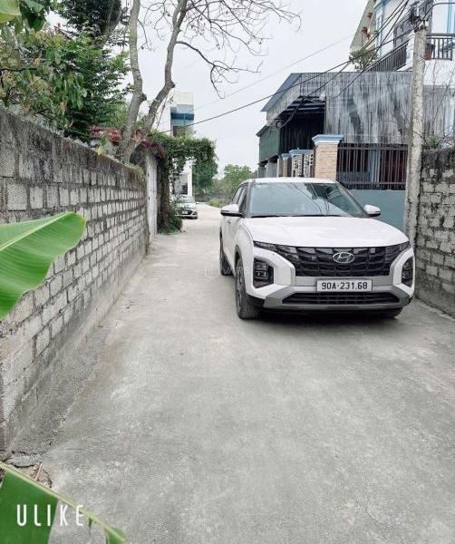 Hình ảnh 2