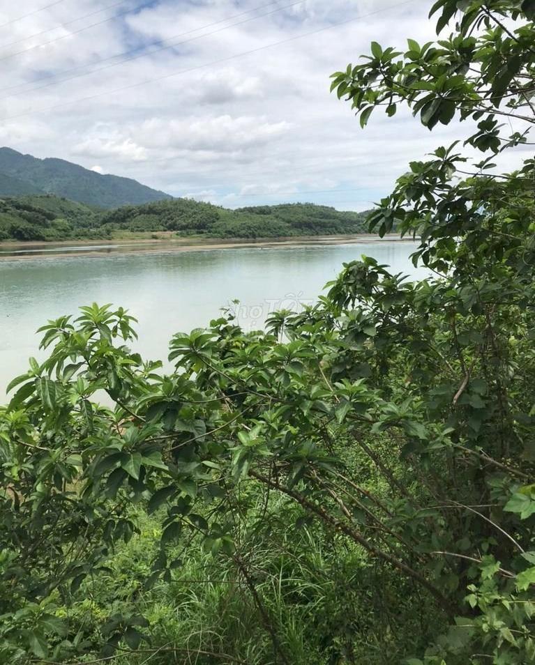 Hình ảnh 1