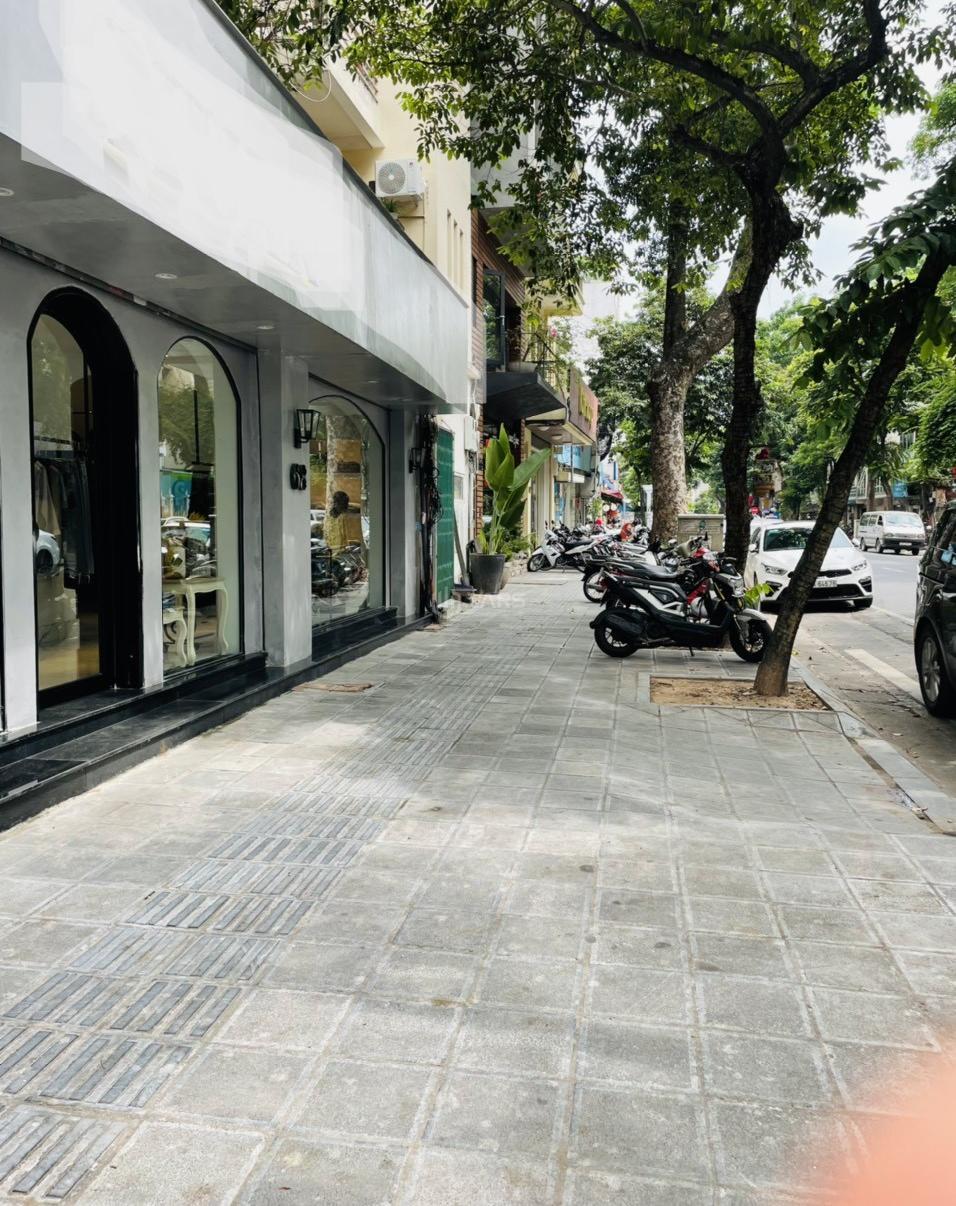 Hình ảnh 1