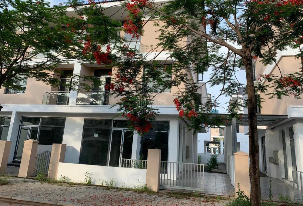 Hình ảnh 1