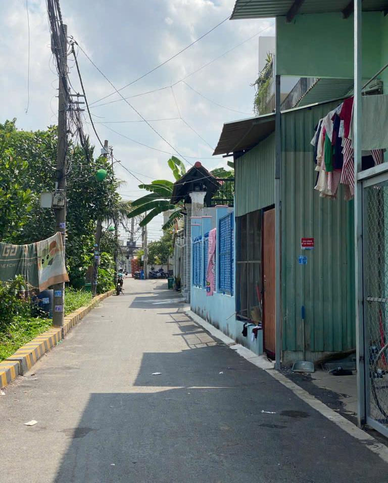Hình ảnh 3