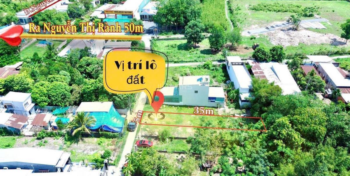 Hình ảnh 3
