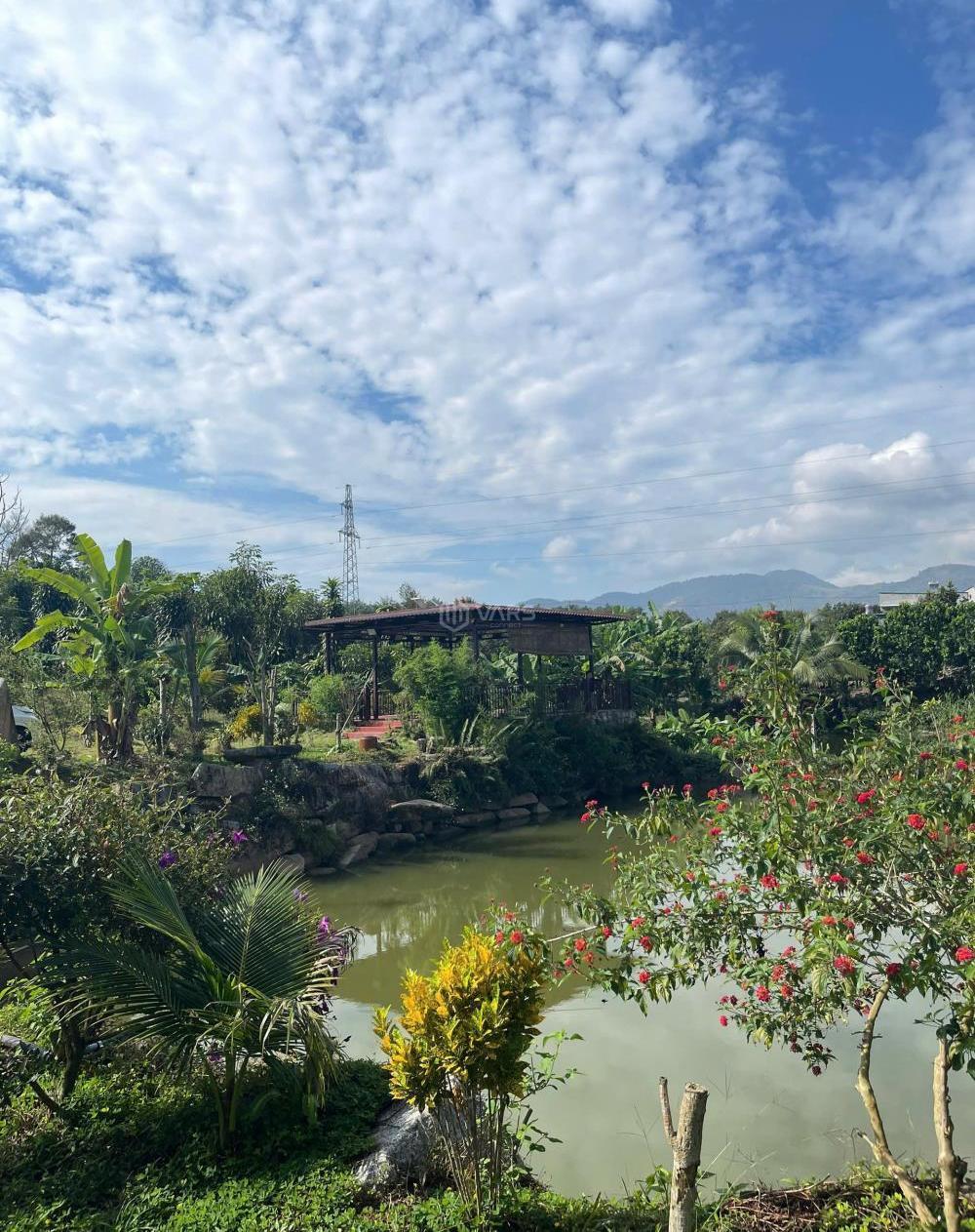 Hình ảnh 3