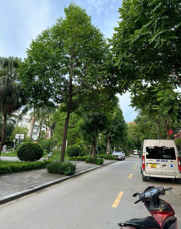 Chủ cần bán Biệt thự nghỉ dưỡng 200m² Kđt Văn Phú, Phường Phú La, Quận Hà Đông, Hà Nội