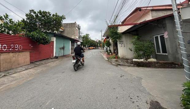 Hình ảnh 3