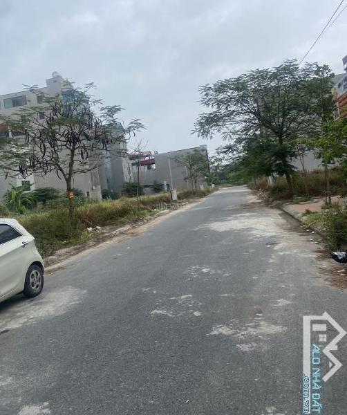 Bán Đất nền Dự án 99m² Đường Tam Giang, Phường Vân Dương, Thành phố Bắc Ninh, Bắc Ninh