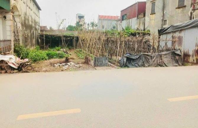 Hình ảnh 1