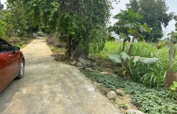 Cần bán Đất nền riêng lẻ 1122m² Xã Cư Yên, Huyện Lương Sơn, Hòa Bình