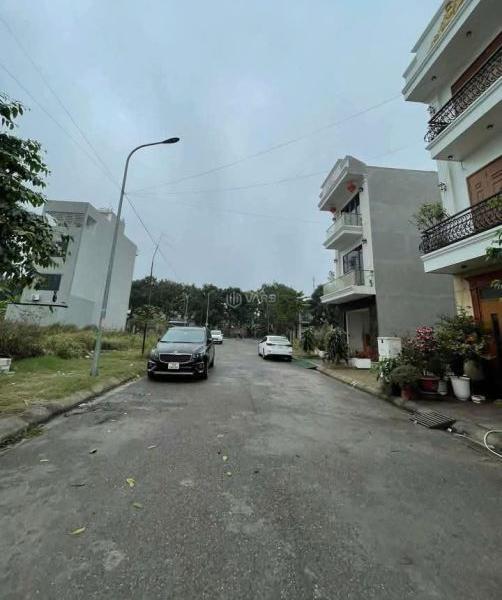 Hình ảnh 3