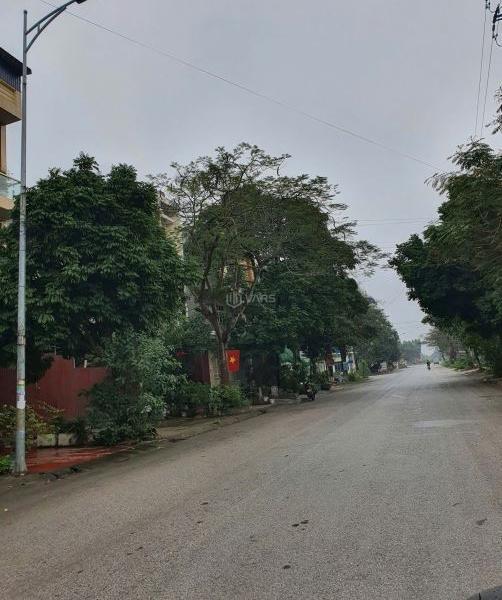 Hình ảnh 2