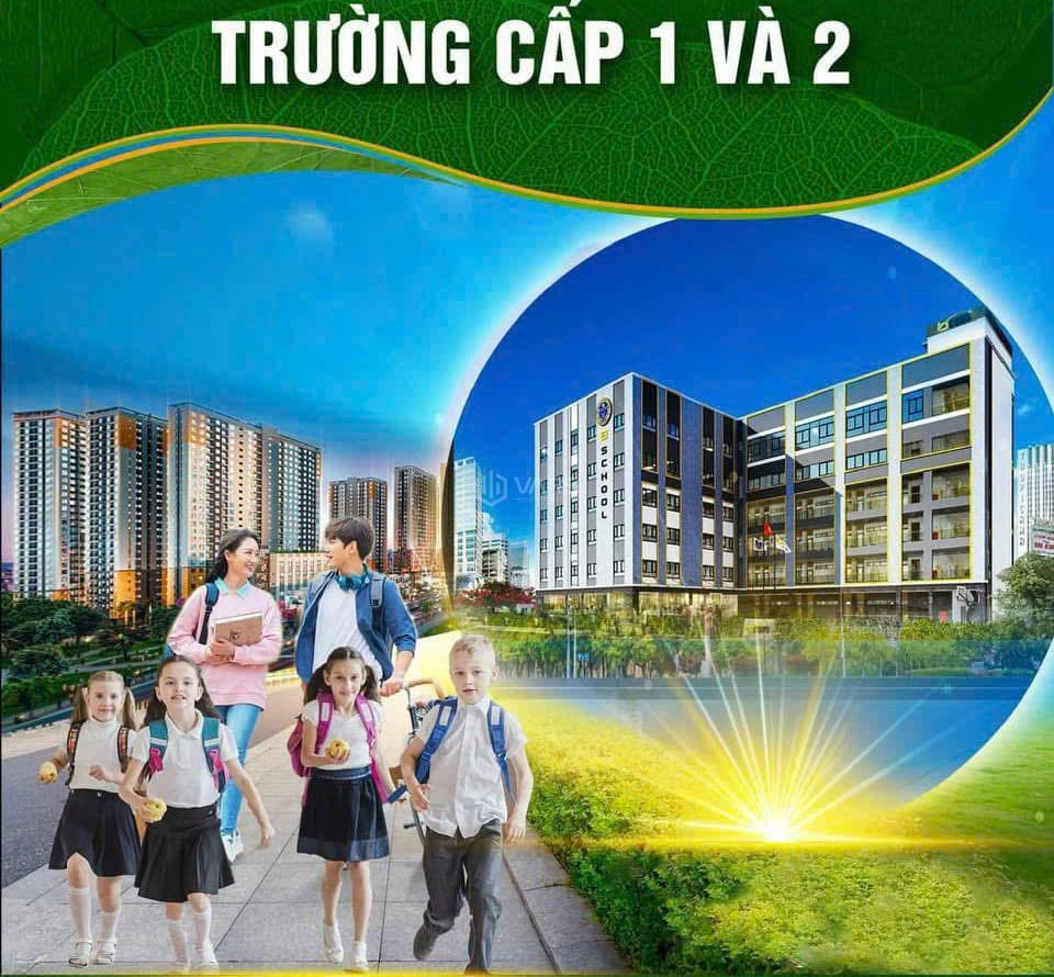 Hình ảnh 3
