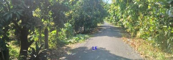 Bán Khác 11600m² Xã Bình Hàng Tây, Huyện Cao Lãnh, Đồng Tháp