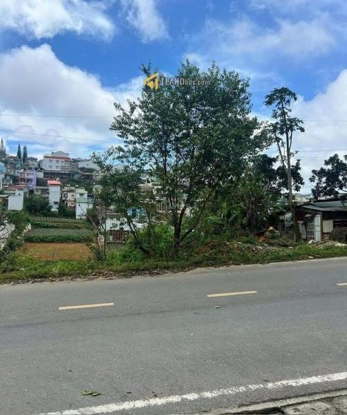 Bán Đất nền riêng lẻ 250m² Đường Tô Vĩnh Diện, Phường 6, Thành phố Đà Lạt, Lâm Đồng