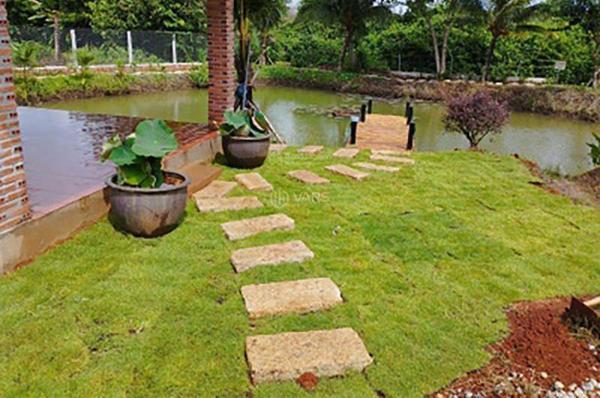 Cần bán Trang trại, nhà vườn 1700m² Xã Đá Bạc, Huyện Châu Đức, Bà Rịa - Vũng Tàu