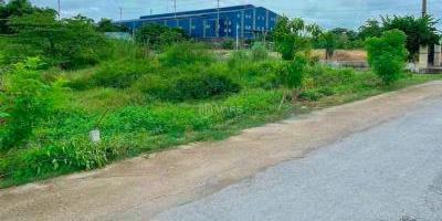 Cần bán Đất nền riêng lẻ 1250m² Đường Điện Biên Phủ, Xã Bàu Chinh, Huyện Châu Đức, Bà Rịa Vũng Tàu