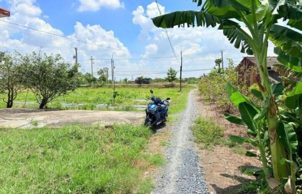 Chủ cần bán Đất nền riêng lẻ 150m² Đường Đan, Xã Tân Phước Tây, Huyện Tân Trụ, Long An