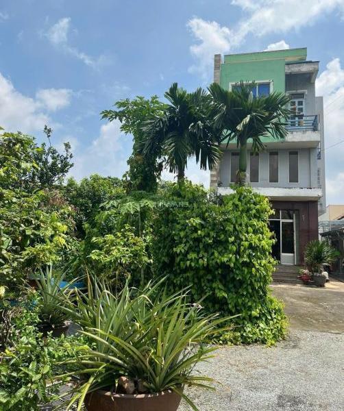 🆘 Giảm hẳn 1 tỉ còn 10 tỉ thôi ạ + bán nhà vườn 🏘️ phường Tân Vạn - Biên Hoà Phường Tân Vạn, Thành phố Biên Hoà, Đồng Nai
