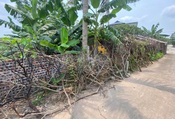 Cần bán Đất nền riêng lẻ 300m² Xã Thanh Hồng, Huyện Thanh Hà, Hải Dương