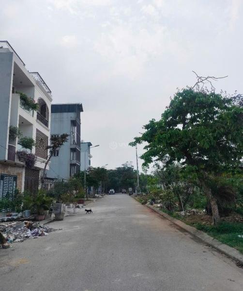Chủ cần bán Đất nền Dự án 100m² Phường Trang Hạ, Thành phố Từ Sơn, Bắc Ninh