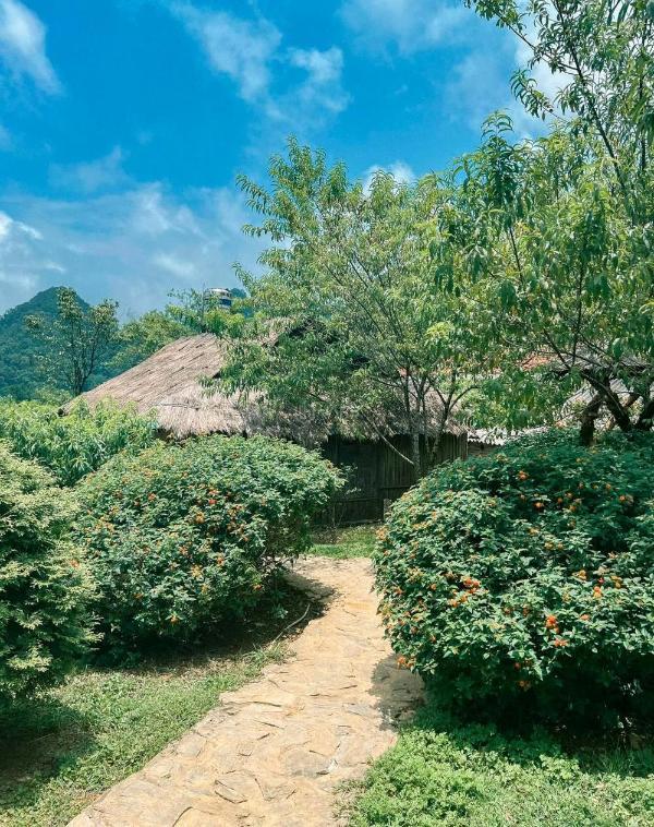 Chủ cần bán Đất nền riêng lẻ 1520m² Xã Hang Kia, Huyện Mai Châu, Hòa Bình