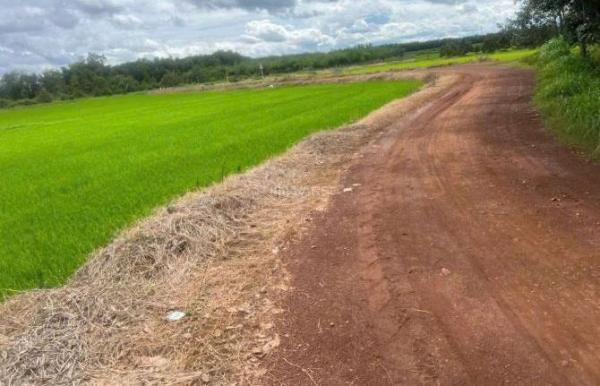 Bán Đất nền riêng lẻ 980m² Đường DT782, Xã Bàu Đồn, Huyện Gò Dầu, Tây Ninh