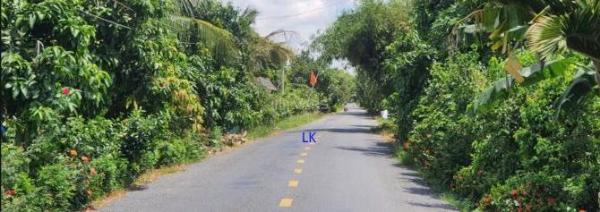 Bán Đất nền riêng lẻ 200m² Xã Tân Hội Trung, Huyện Cao Lãnh, Đồng Tháp