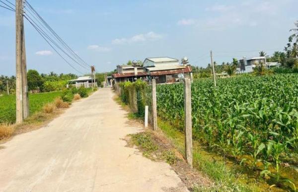Cần bán Đất nền riêng lẻ 280m² Quốc lộ 22B, Xã An Bình, Huyện Châu Thành, Tây Ninh