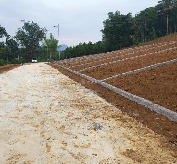 Chủ cần bán Đất nền Dự án 159m² Xã Quang Trung, Huyện Ngọc Lặc, Thanh Hóa