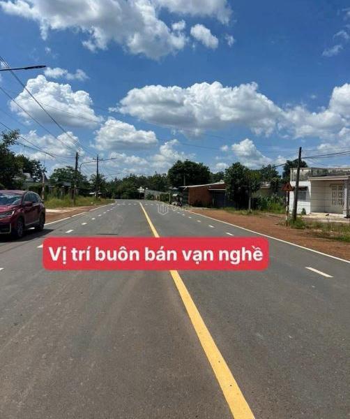 Chủ cần bán Đất nền riêng lẻ 250m² Xã Tân Hòa, Huyện Đồng Phú, Bình Phước