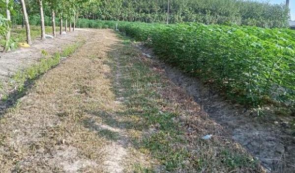 Bán Đất nền riêng lẻ 320m² Xã Ninh Điền, Huyện Châu Thành, Tây Ninh