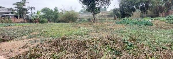 Cần bán Đất nền riêng lẻ 3053m² Xã Cư Yên, Huyện Lương Sơn, Hòa Bình