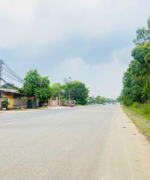 Bán Đất nền riêng lẻ 165m² Phường Khai Quang, Thành phố Vĩnh Yên, Vĩnh Phúc