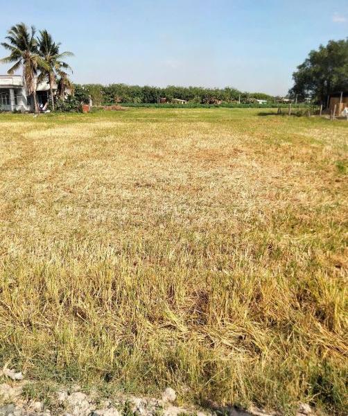 Bán Đất nền riêng lẻ 9000m² Đường DT788, Xã Đồng Khởi, Huyện Châu Thành, Tây Ninh