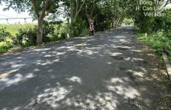 Cần bán đất mặt tiền đường ĐT 846, Xã Tân Nghĩa, 🏠 Cao Lãnh, Đồng Tháp Xã Tân Nghĩa, Huyện Cao Lãnh, Đồng Tháp