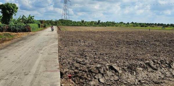 Bán Đất nền riêng lẻ 150m² Xã Lạc Tấn, Huyện Tân Trụ, Long An