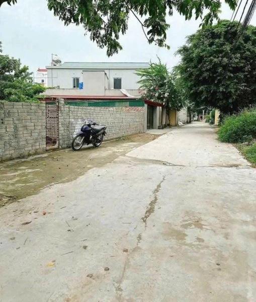 Bán 🏘️ đất Vũ Phúc đối diện khu C khu đô thị Đường Doãn Khuê, Xã Vũ Phúc, Thành phố Thái Bình, Thái Bình