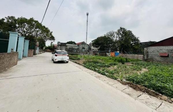 Bán Đất nền riêng lẻ 70m² Đường Trương Xá, Xã Vĩnh Xá, Huyện Kim Động, Hưng Yên