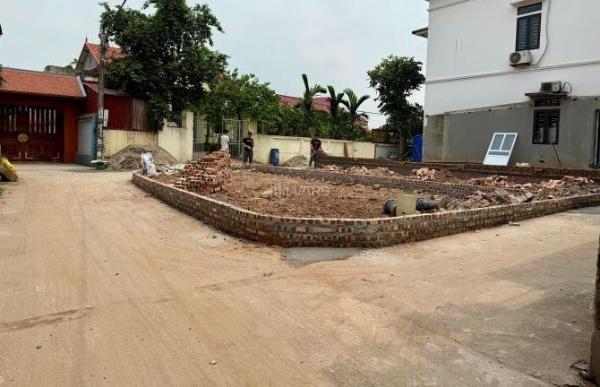 Cần bán Đất nền riêng lẻ 64m² Xã Liên Nghĩa, Huyện Văn Giang, Hưng Yên