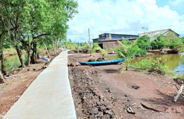Cần bán Đất nền riêng lẻ 110m² Đường Đan, Xã Lạc Tấn, Huyện Tân Trụ, Long An