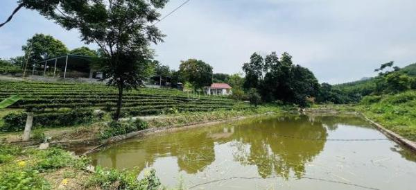Bán Đất nền riêng lẻ 3576m²