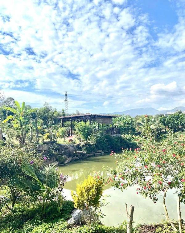 Cần bán Đất nền riêng lẻ 300m²