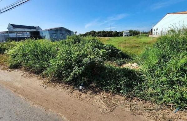 Cần bán 🏘️ 34.5 x 99 ( 6400m2) đất mặt tiền DT784 Chà Là Dương Minh Châu Tây Ninh