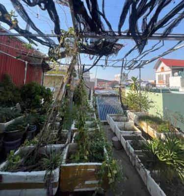 Chủ cần bán Nhà mặt phố 35m²
