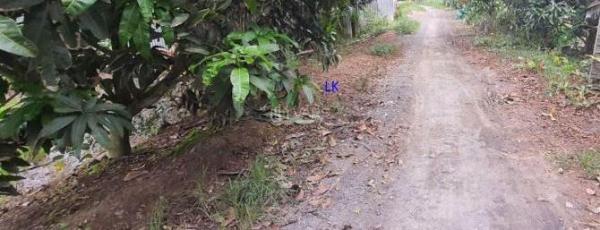 🔰 💥 Bán đất lúa đã lên líp: 4.500m² (Mặt tiền 70m) 🔰 Đường đá xe ba gác, xã Ba Sao