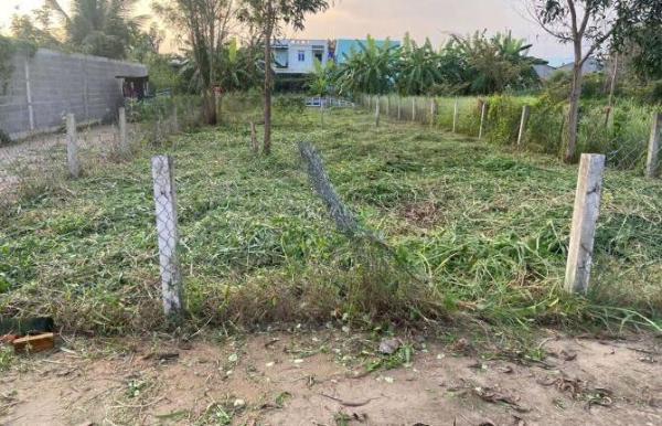 Chủ cần bán Đất nền riêng lẻ 199m²