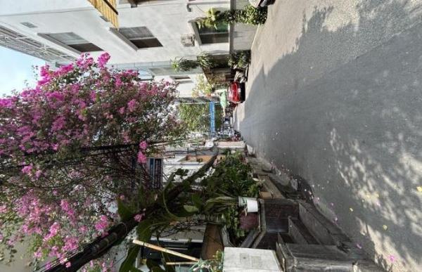 Cho thuê nhà mới 🆘 xây hẻm 8 mét Nguyễn Đình Chiểu - quận 3