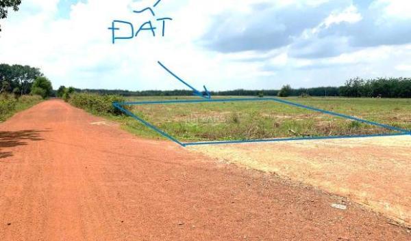 KẸT QUÁ!!! CHỦ 🌊 BÁN GẤP 1.400M2 ĐẤT THỔ CƯ NGAY QL13 VÀO DÂN CƯ ĐÔNG THÔNG THẲNG KCN 198TR