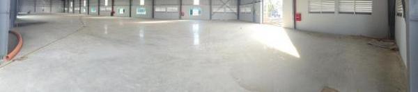 Nhà xưởng 1.300m 🌊 và 2.600m mới Xd tại TP Nam Định, PCCC tự động giá 65k/m2